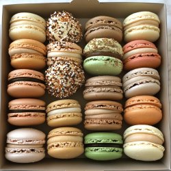 Classic French Macarons