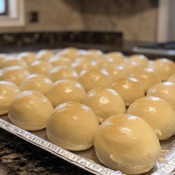 Classic Yeast Rolls