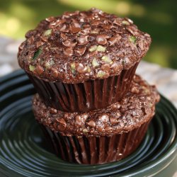 Chocolate Zucchini Muffins