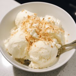 Homemade Coconut Ice Cream