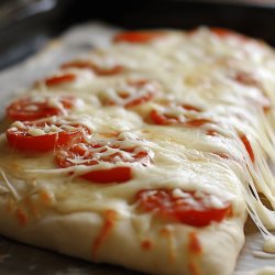 Bread Machine Pizza Dough