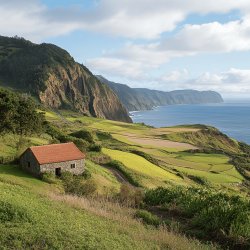 Molho Madeira Clássico