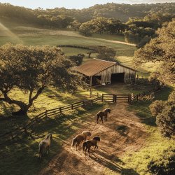 Molho Ranch Caseiro