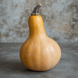 Ofengerösteter Butternut-Kürbis