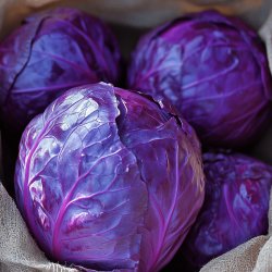 Hausgemachter Rotkohl