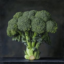 Einfaches Brokkoli-Gemüsegericht