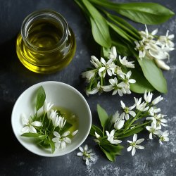Hausgemachtes Bärlauchöl