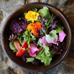 Frischer Gartensalat