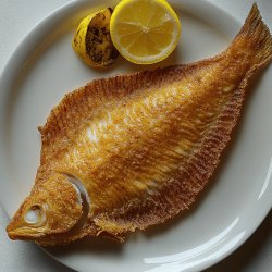 Knusprige Schollenfilets